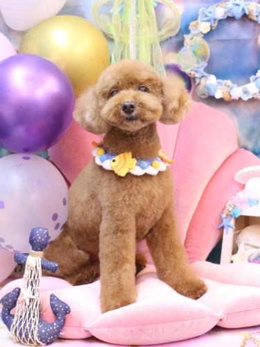 20240824レオくん